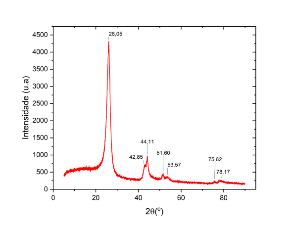 Nanotubos de Carbono de Múltiplas Paredes - Image 6
