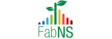 FabNS